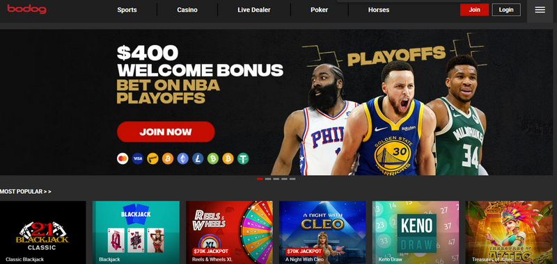 BODOG – Thiên đường cá cược, nhà cái uy tín đẳng cấp hàng đầu thị trường