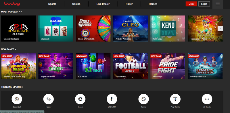 BODOG - Thiên đường cá cược đẳng cấp hàng đầu thị trường