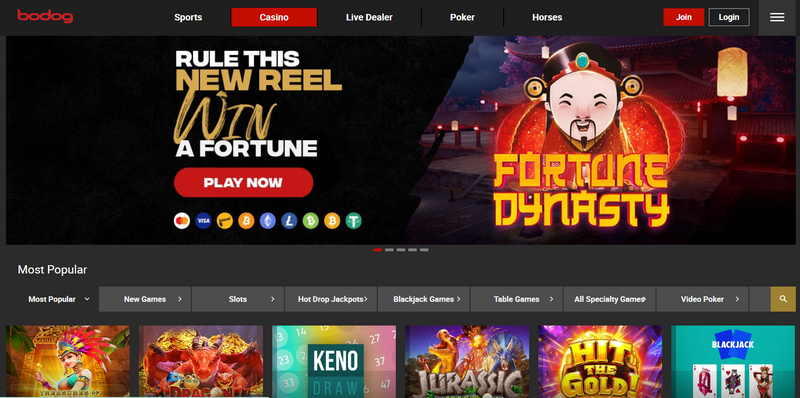 BODOG - Thiên đường cá cược đẳng cấp hàng đầu thị trường