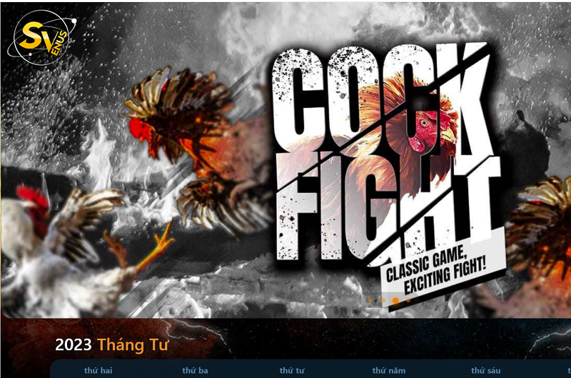 SV388 - Nhà cái đá gà trực tiếp chất lượng số 1 Việt Nam
